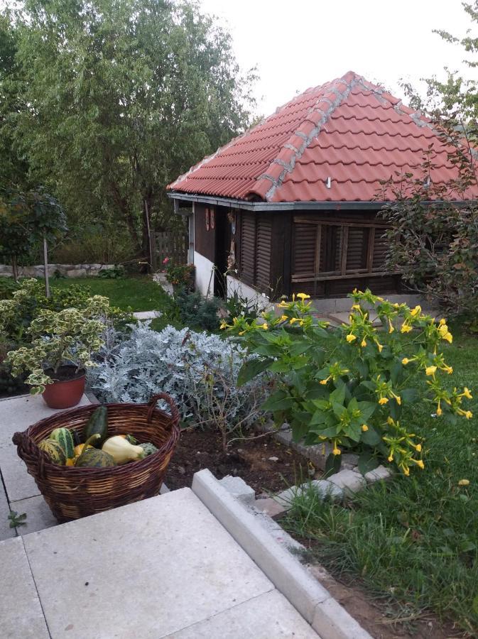 Apartman Civovic ルーディック エクステリア 写真
