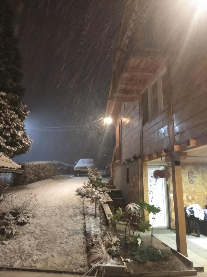 Apartman Civovic ルーディック エクステリア 写真