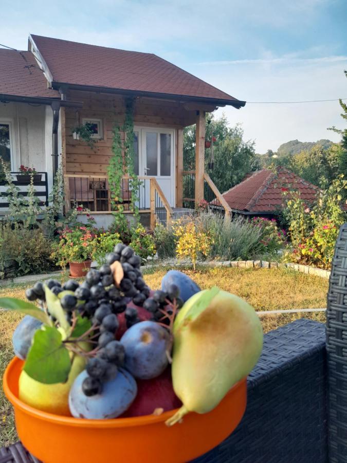 Apartman Civovic ルーディック エクステリア 写真